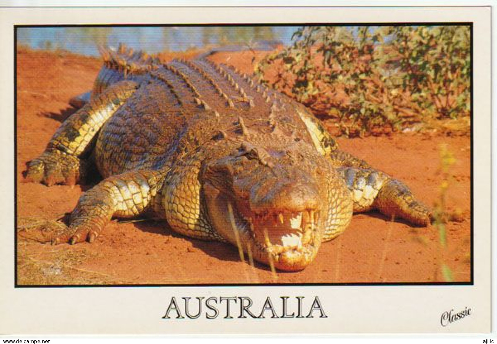 Greetings From DARWIN,  The Crocodiles Country, Postcard To Andorra, From DARWIN  NT (1990) 2 Pics - Kakadu