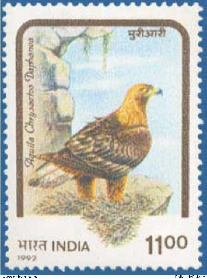 India 1992 Birds Of Prey , Himalayan Golden Eagle, Northern Hemisphere,MNH (**) Inde Indien - Ongebruikt