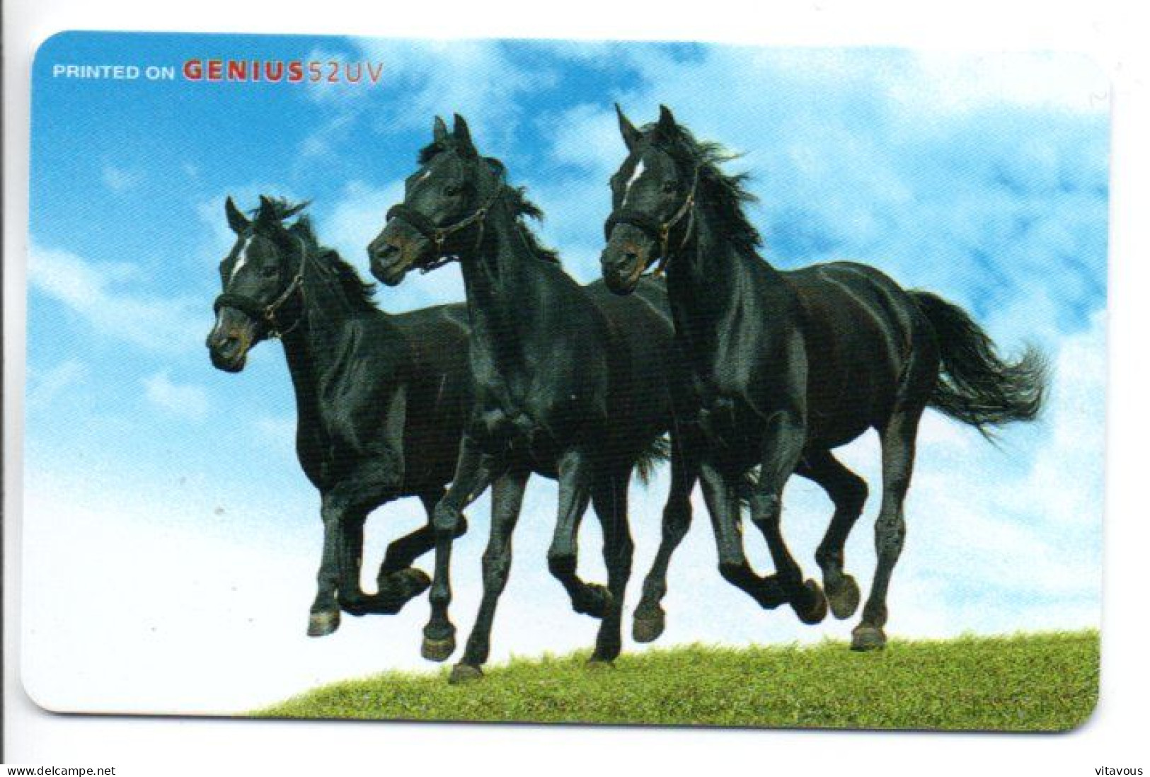 Cheval Horse Carte Spécimen Démonstration France Card Karte (J 924) - Cartes De Salon Et Démonstration