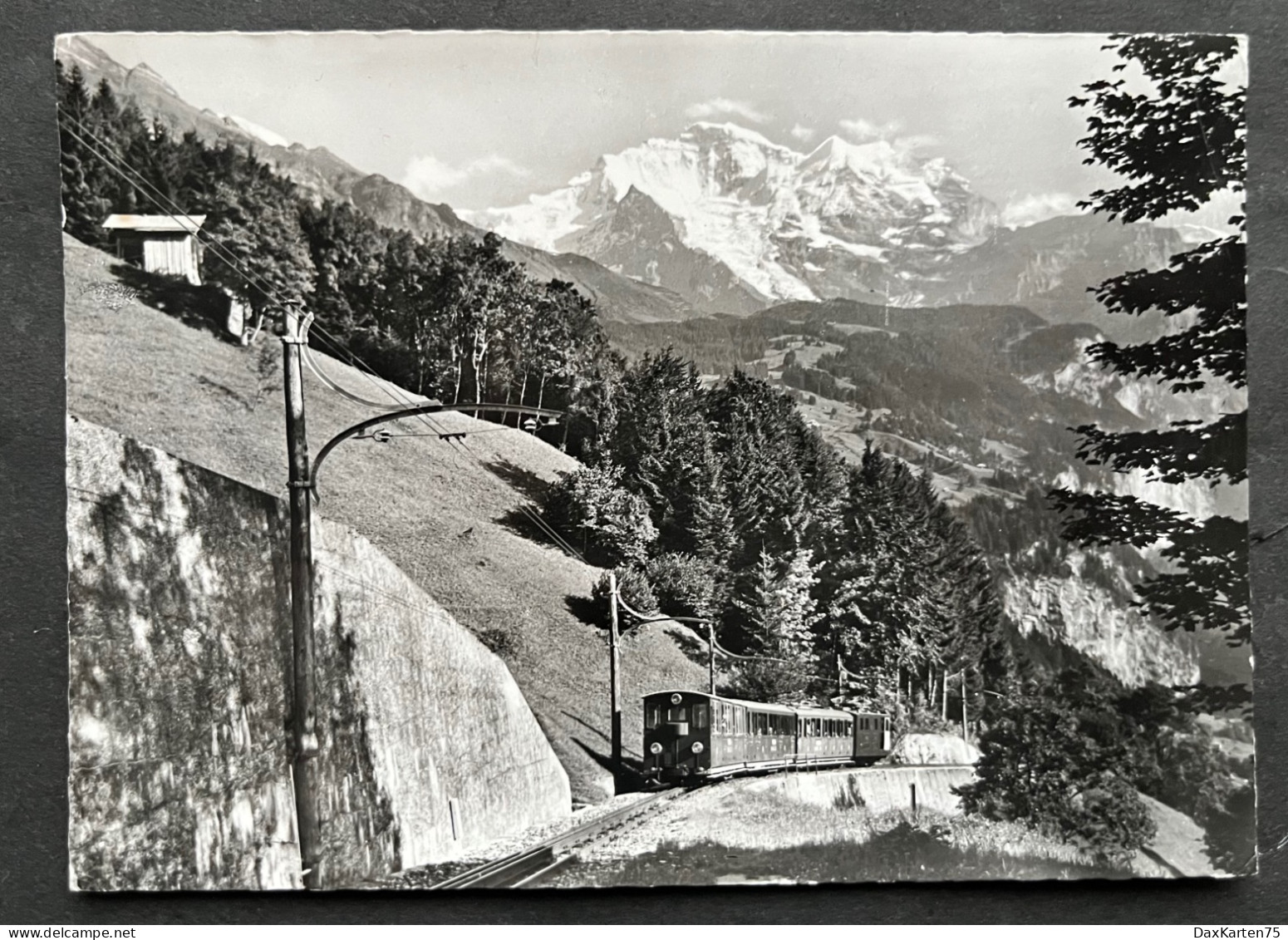 Interlaken/ Schynige Platte Bahn - Wilderswil