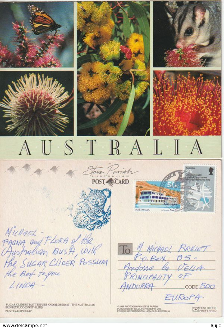 Fauna/Flora From The Australian Bush., With The Sugar Glider Possum, Postcard To Andorra (Europa) - Sonstige & Ohne Zuordnung