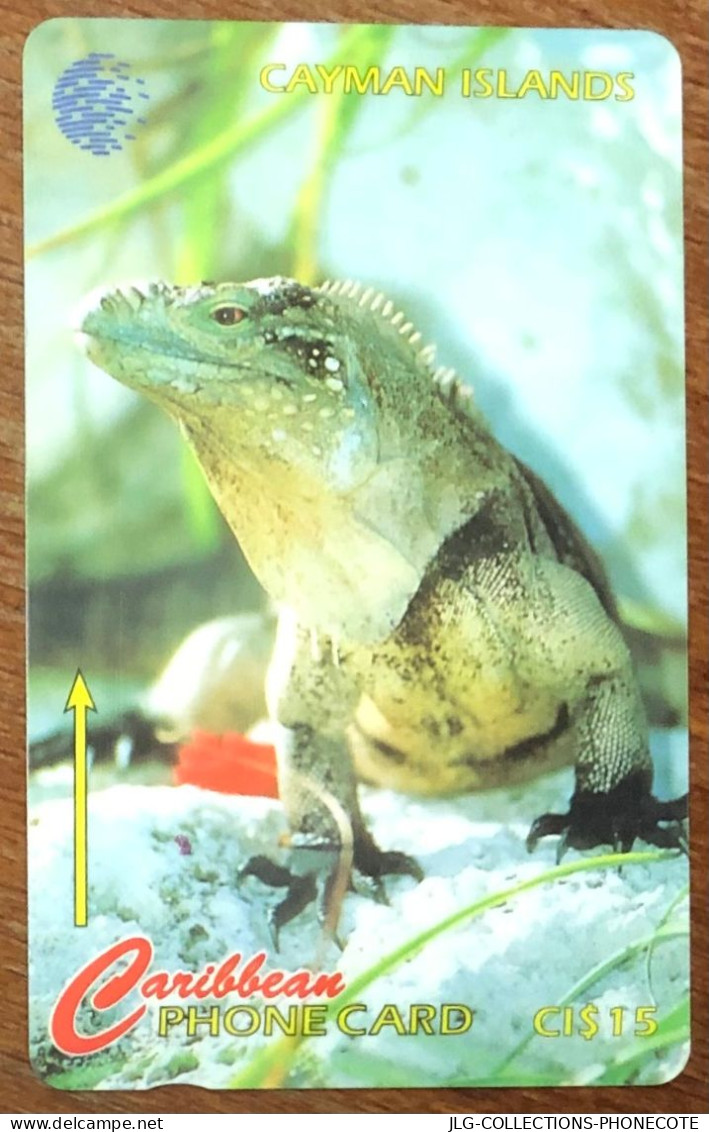 CAYMAN ISLANDS IGUANE IGUANA CI$ 15 CARIBBEAN CABLE & WIRELESS SCHEDA TELECARTE TELEFONKARTE PHONECARD CALLING CARD - Kaaimaneilanden