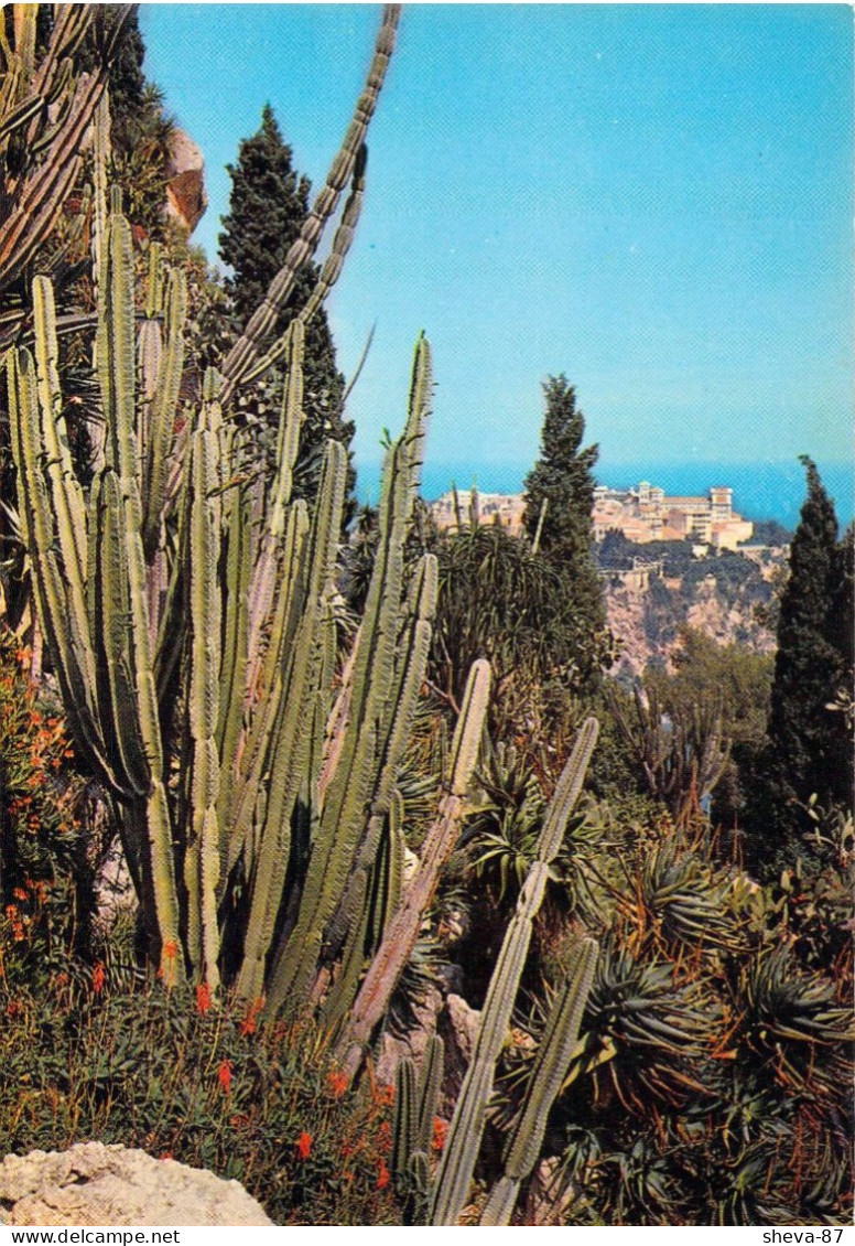 Principauté De Monaco - Le Jardin Exotique - Au Fond, Le Rocher De Monaco - Jardin Exotique