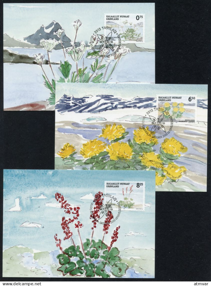 GREENLAND (2005) Carte S Maximum Card S - Native Edible Plants, Ligusticum Scoticum, Rhodiola Rosea, Oxyria Digynia - Cartoline Maximum