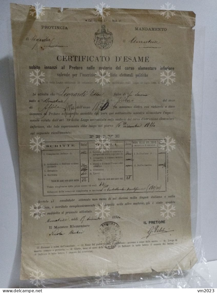 Certificato Di Esame Per Iscrizione Nelle Liste Elettorali Politiche. AMATRICE (Aquila) 1894 - Diplômes & Bulletins Scolaires