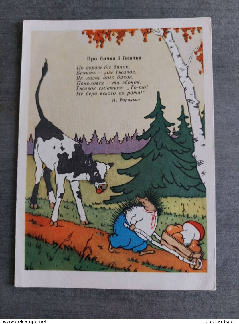 OLD USSR Postcard  - "Hedgehog Picking Mushrooms" By Kudryashov-   Champignon  - MUSHROOM 1957 - Mushrooms