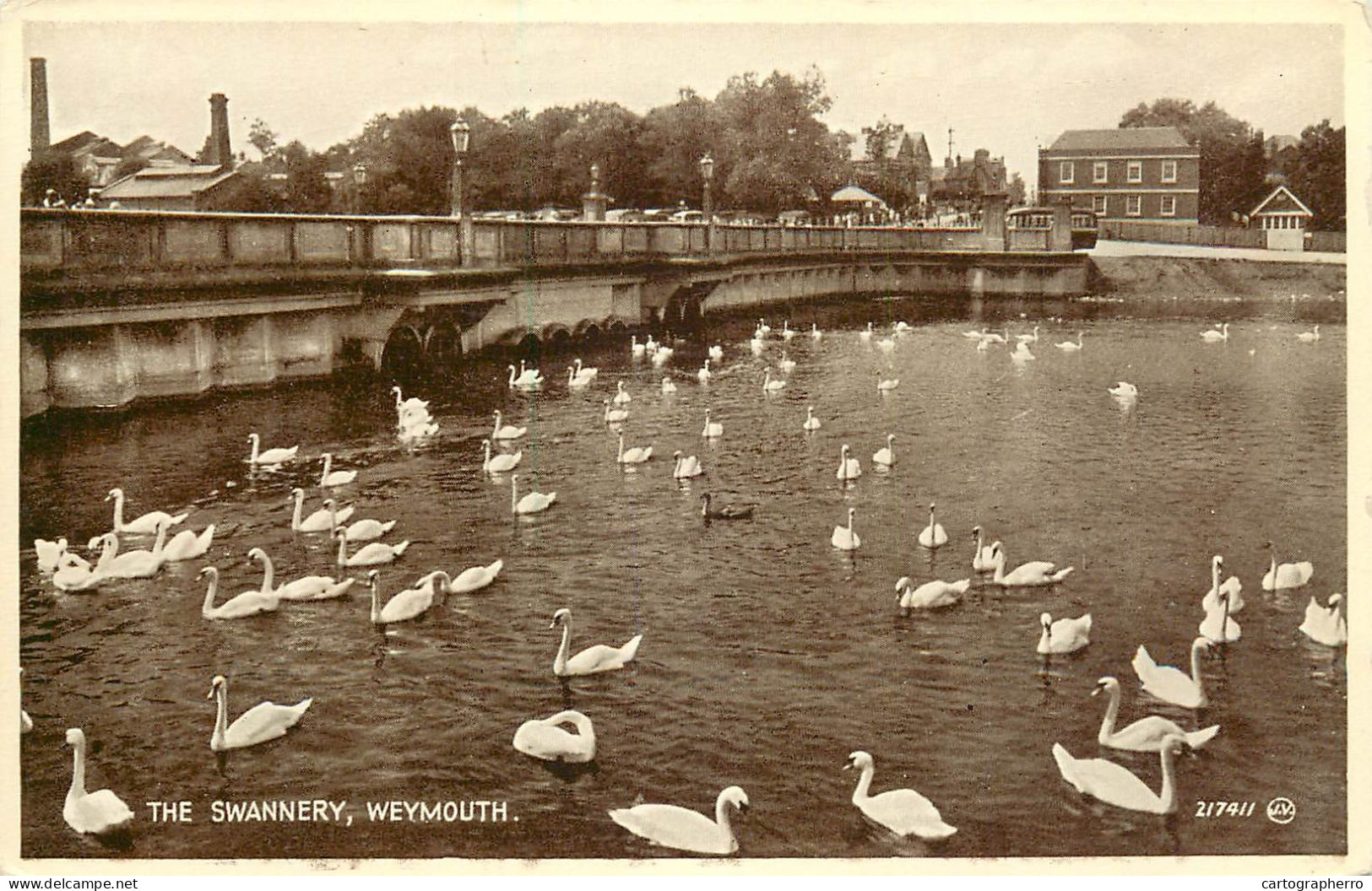 Postcard United Kingdom England Weymouth, Dorset Swans - Weymouth