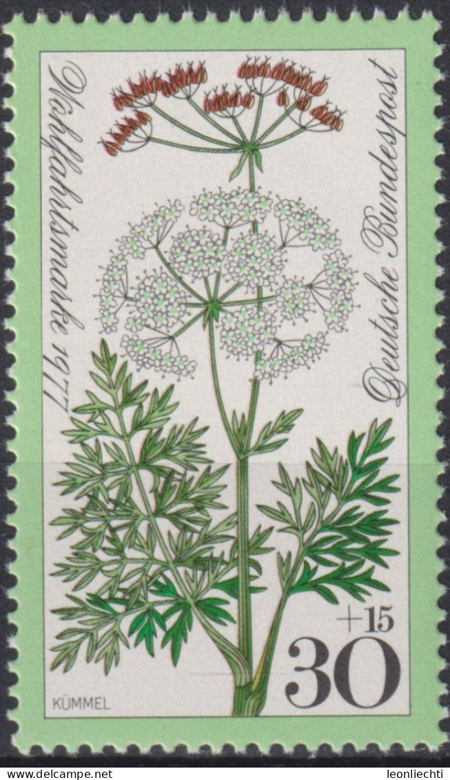 1977 Deutschland > BRD, ** Mi:DE 949, Sn:DE B542, Yt:DE 796, Kümmel, Heilpflanze, Wiesenblumen, Für Die Wohlfahrt - Plantas Medicinales