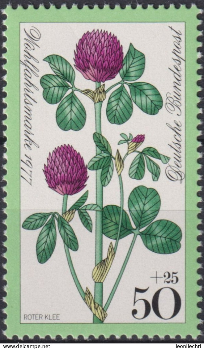 1977 Deutschland > BRD, ** Mi:DE 951, Sn:DE B544, Yt:DE 798, Roter Klee, Heilpflanze, Wiesenblumen, Für Die Wohlfahrt - Medicinal Plants