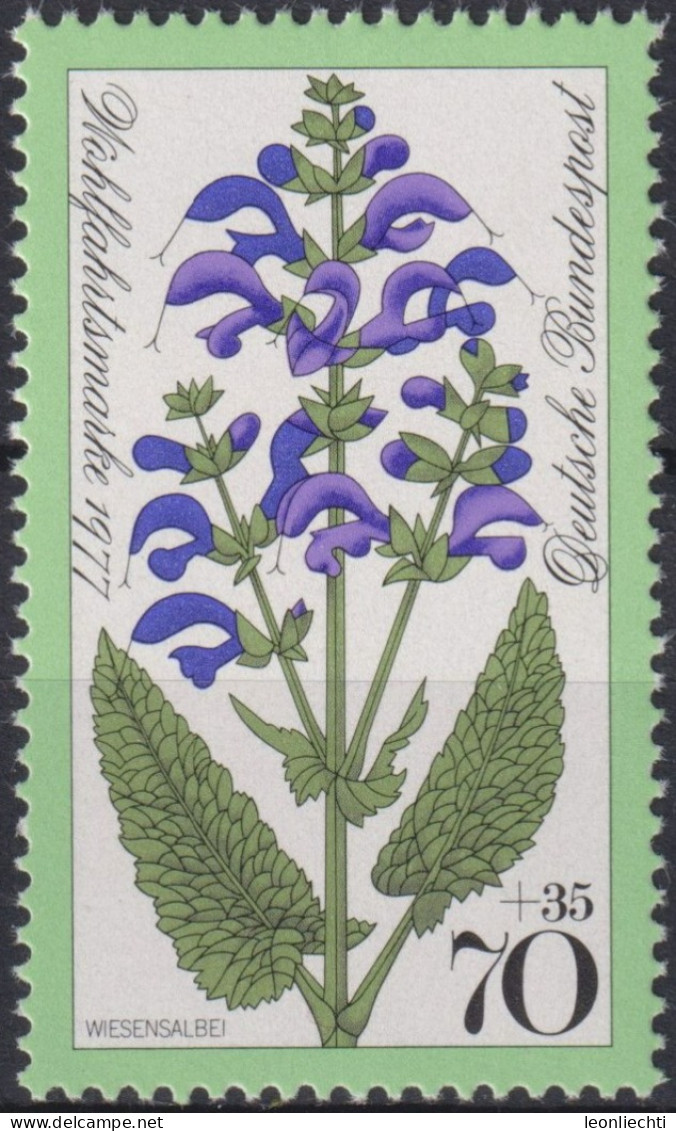 1977 Deutschland > BRD, ** Mi:DE 952, Sn:DE B545, Yt:DE 799,Wiesensalbei, Heilpflanze, Wiesenblumen, Für Die Wohlfahrt - Piante Medicinali