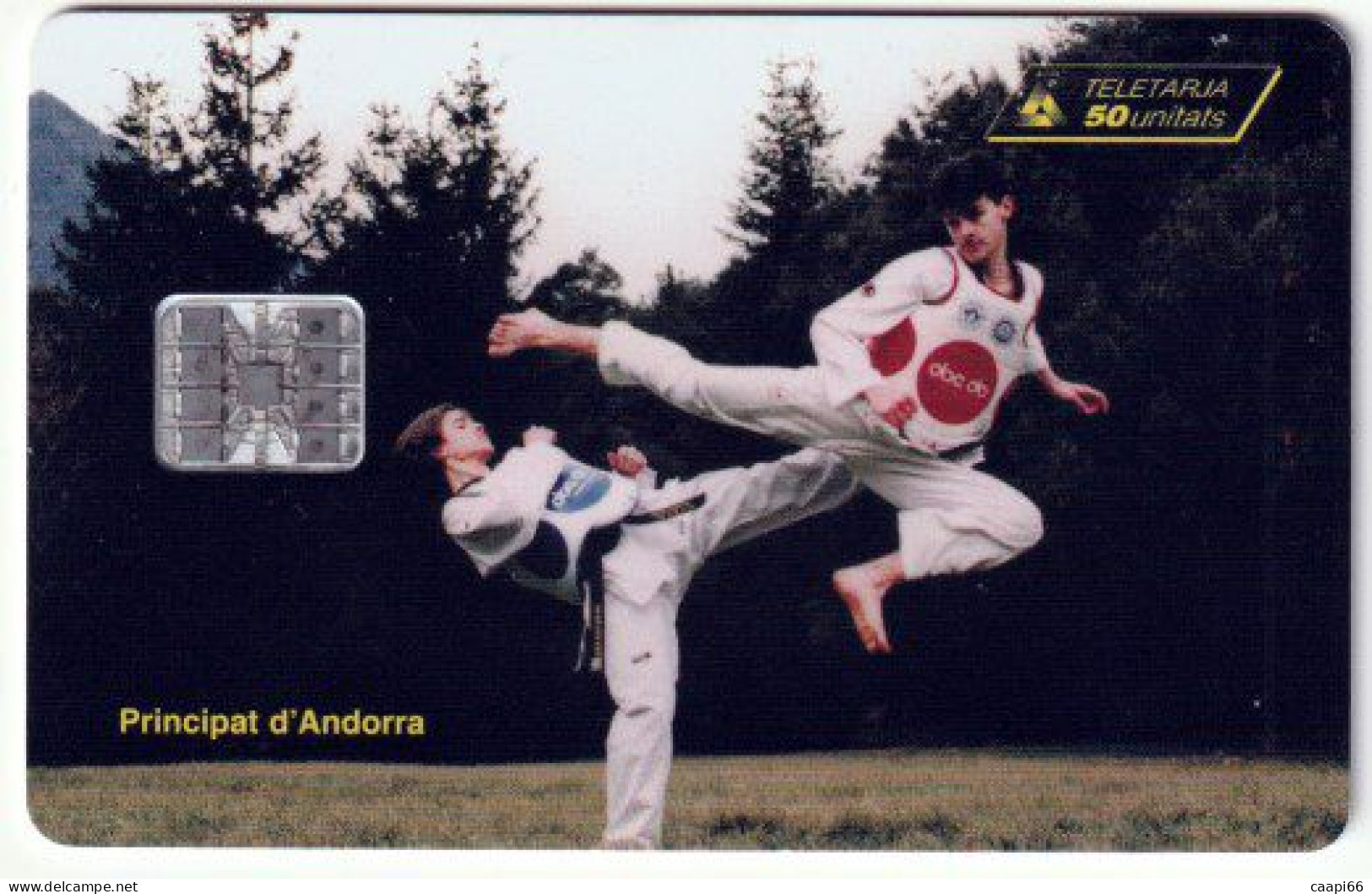 Andorre - Télécarte 50U - Federacio Andorrana De Taekwondo - Andorra