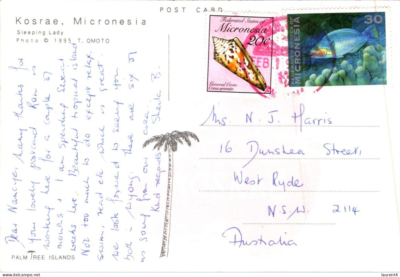 26-11-2023 (3 V 26) Kosrae In Micronesia  (posted To Australia With Seashell & Fish Stamps) - Micronesia