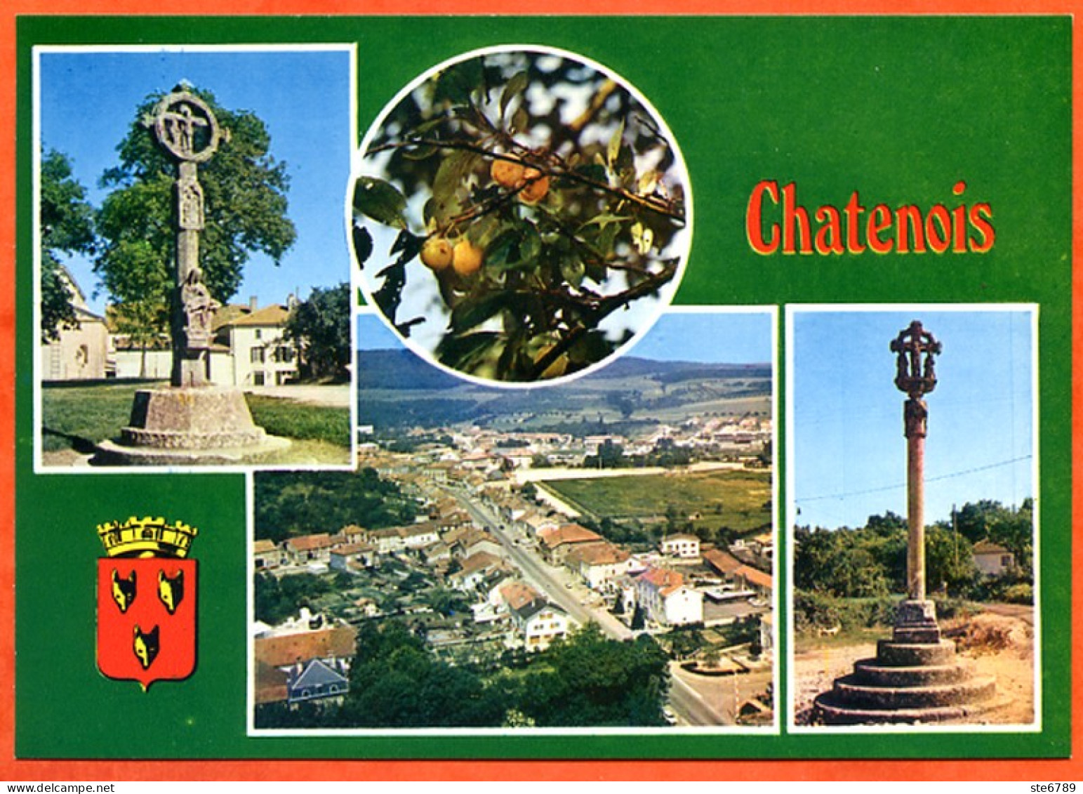 88 CHATENOIS  Multivues Blason Vue Aérienne Croix  CIM Carte Vierge TBE - Chatenois