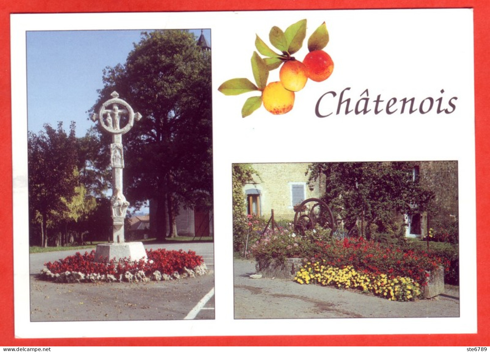 88 CHATENOIS  Multivues Fontaine Haut Bourg Croix Ancien Cimetiere Carte Vierge TBE - Chatenois