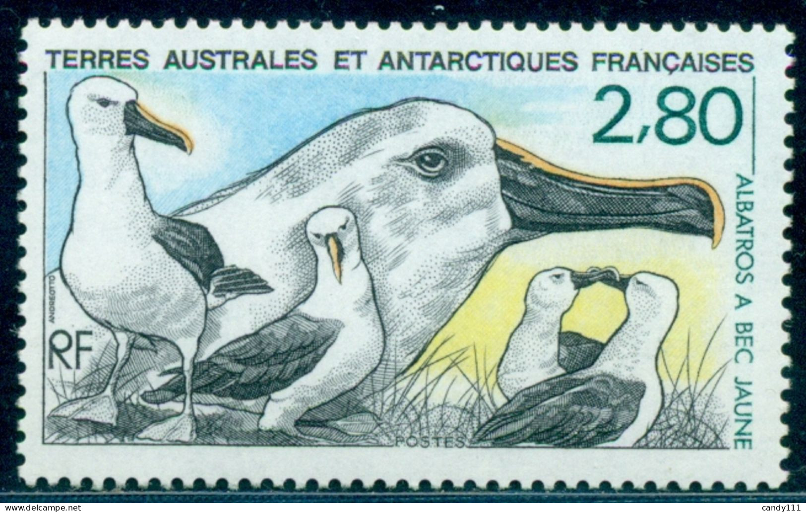 1990 Animals Of Antarctica,Yellow-nosed Albatross,TAAF,M.262,MNH - Seagulls