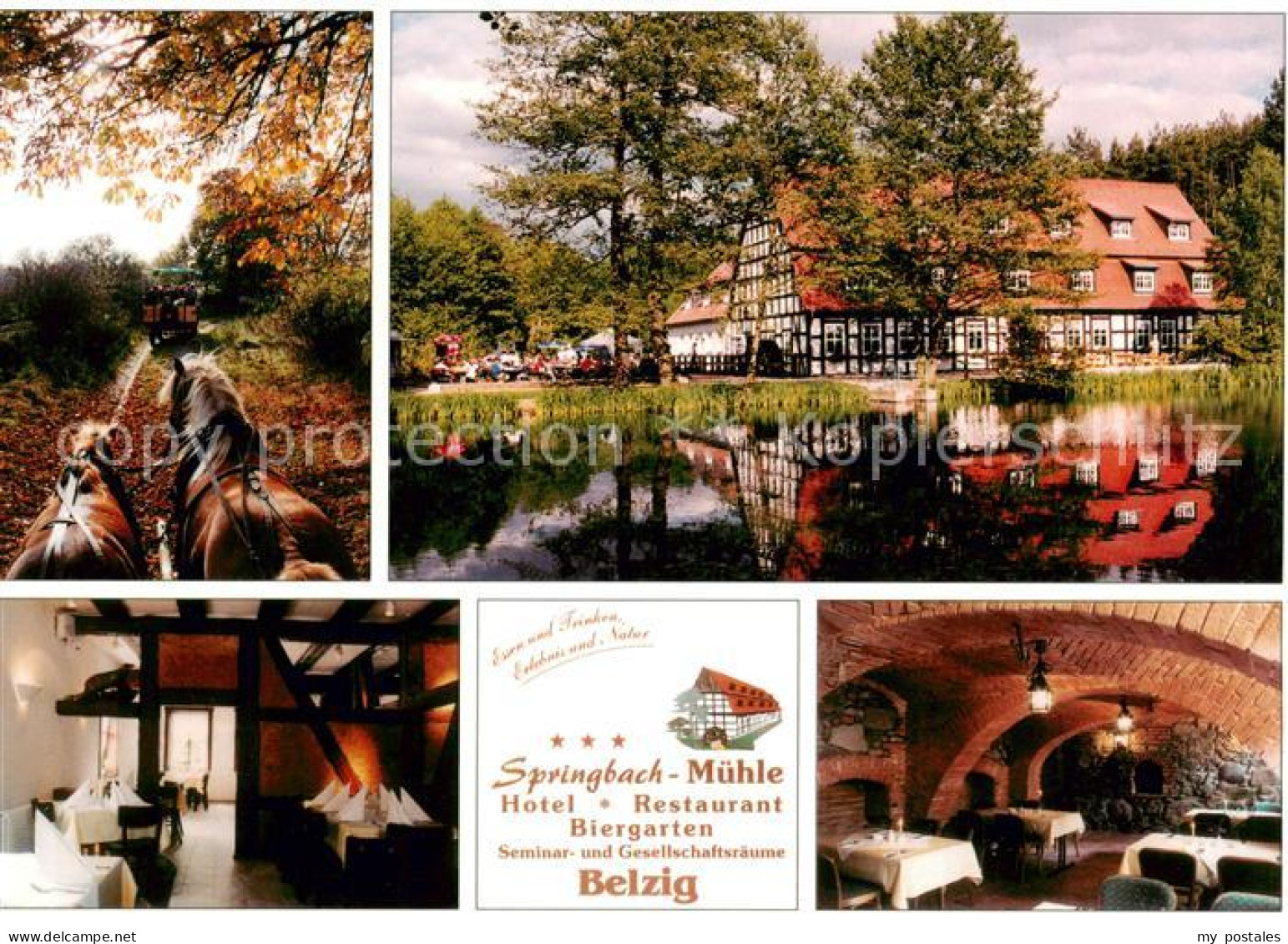 73859462 Bad Belzig Springbachmuehle Hotel Restaurant Biergarten Kremser- Und Ku - Belzig
