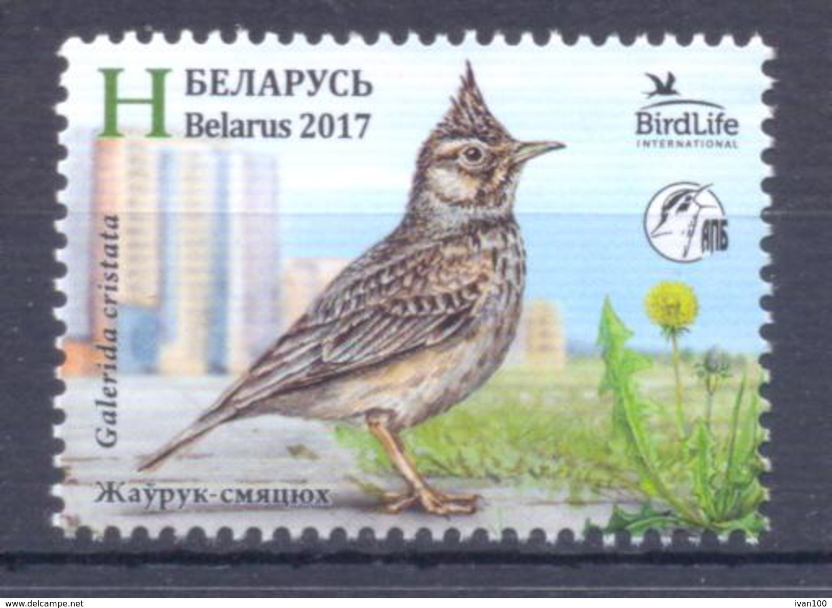 2017. Belarus, Bird Of The Year, 1v, Mint/** - Belarus