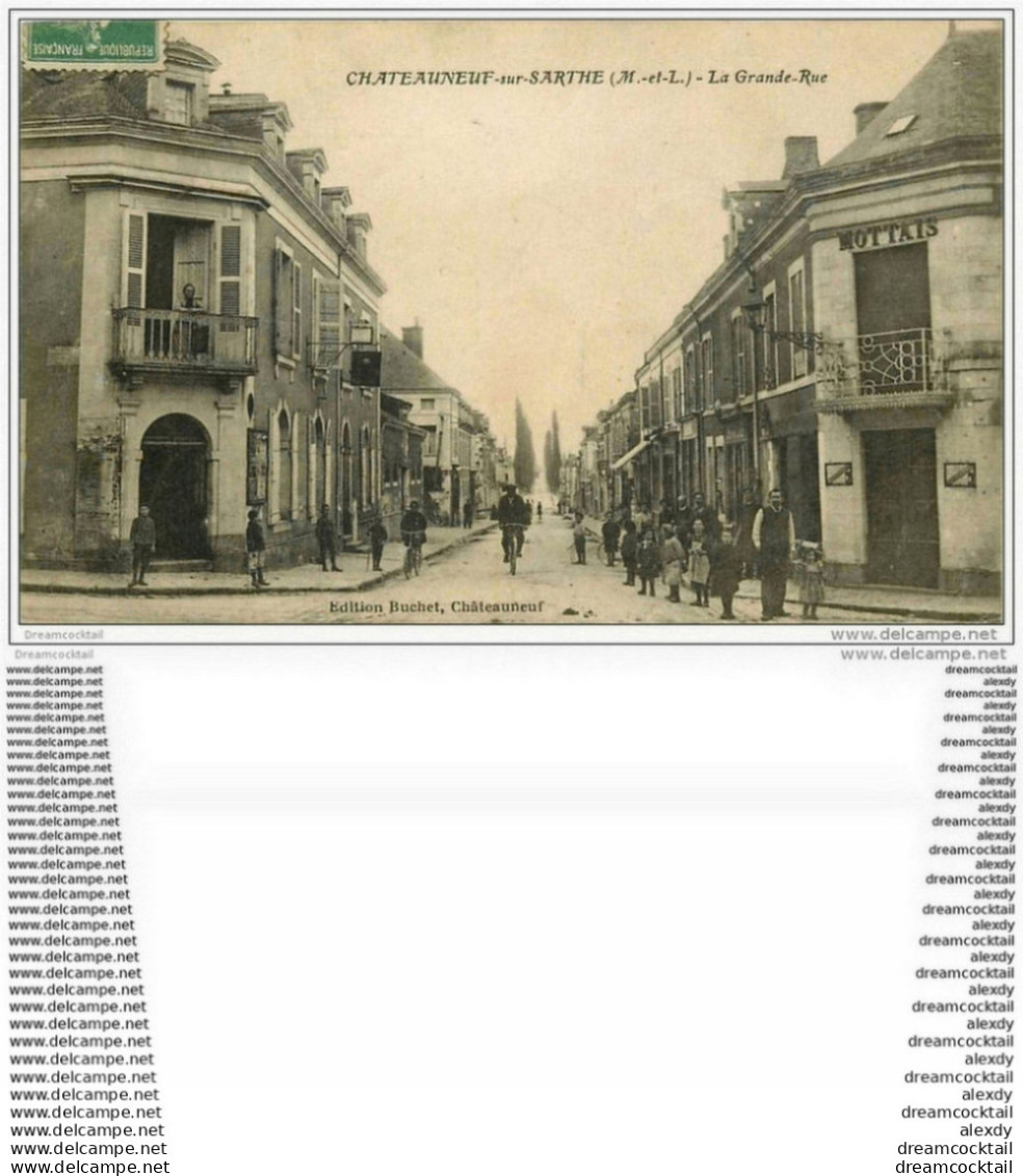 49 CHATEAUNEUF-SUR-SARTHE. La Grande Rue Vers 1919 - Chateauneuf Sur Sarthe