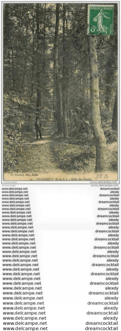 28 VILLEMEUX. Promeneur Allée Des Sapins 1913 - Villemeux-sur-Eure