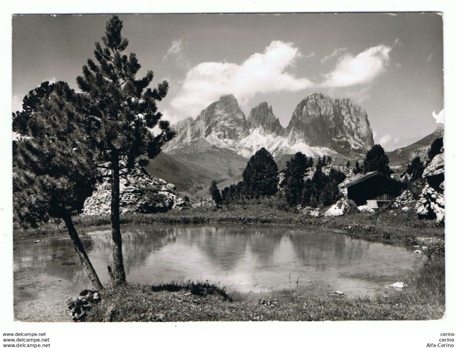 TRENTO:  GRUPPO  DEL  SASSOLUNGO  -  FOTO  -  FG - Bergsteigen