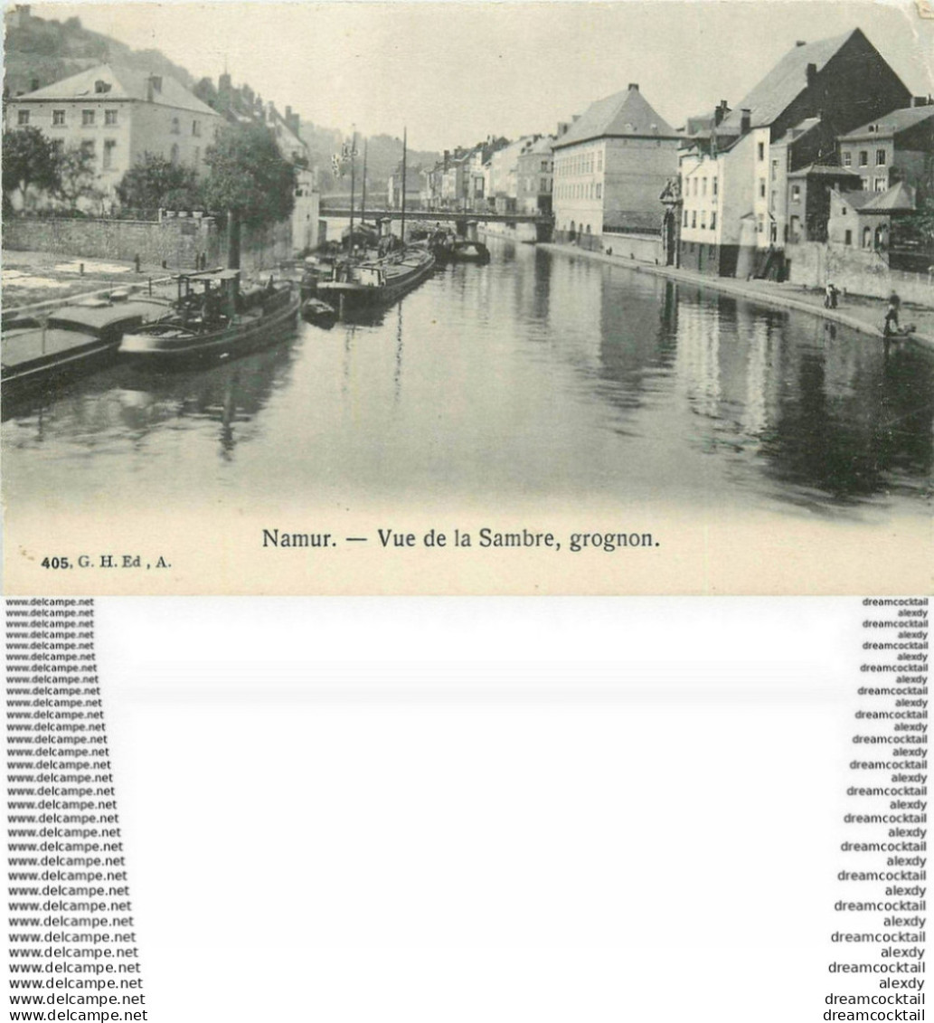 WW BELGIQUE. Namur. Vue De La Sambre, Grognon 1908 Timbre Manquant - Sambreville