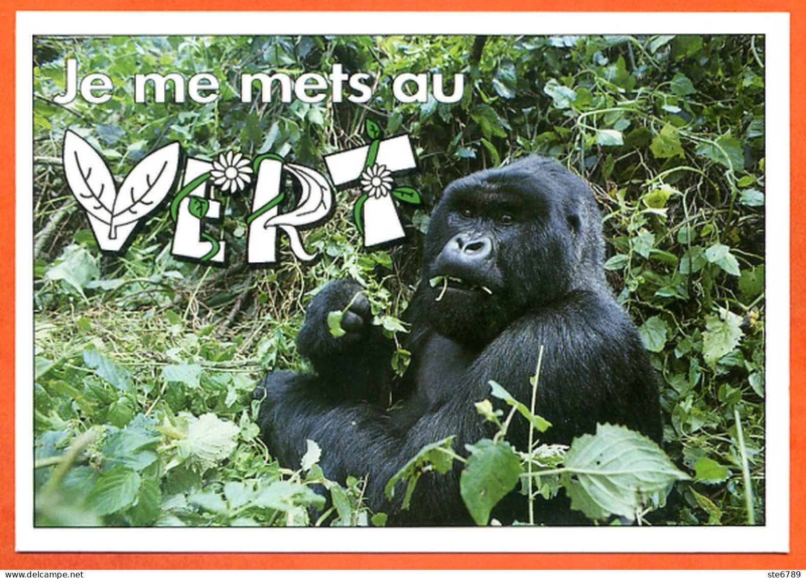 Animal Singe Humour FUNNYS Je Me Mets Au Vert Carte Vierge TBE - Singes