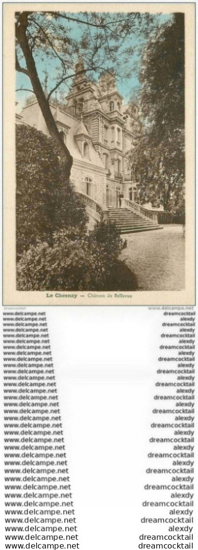 78 LE CHESNAY. Château Bellevue Personnage Sur Le Perron - Le Chesnay