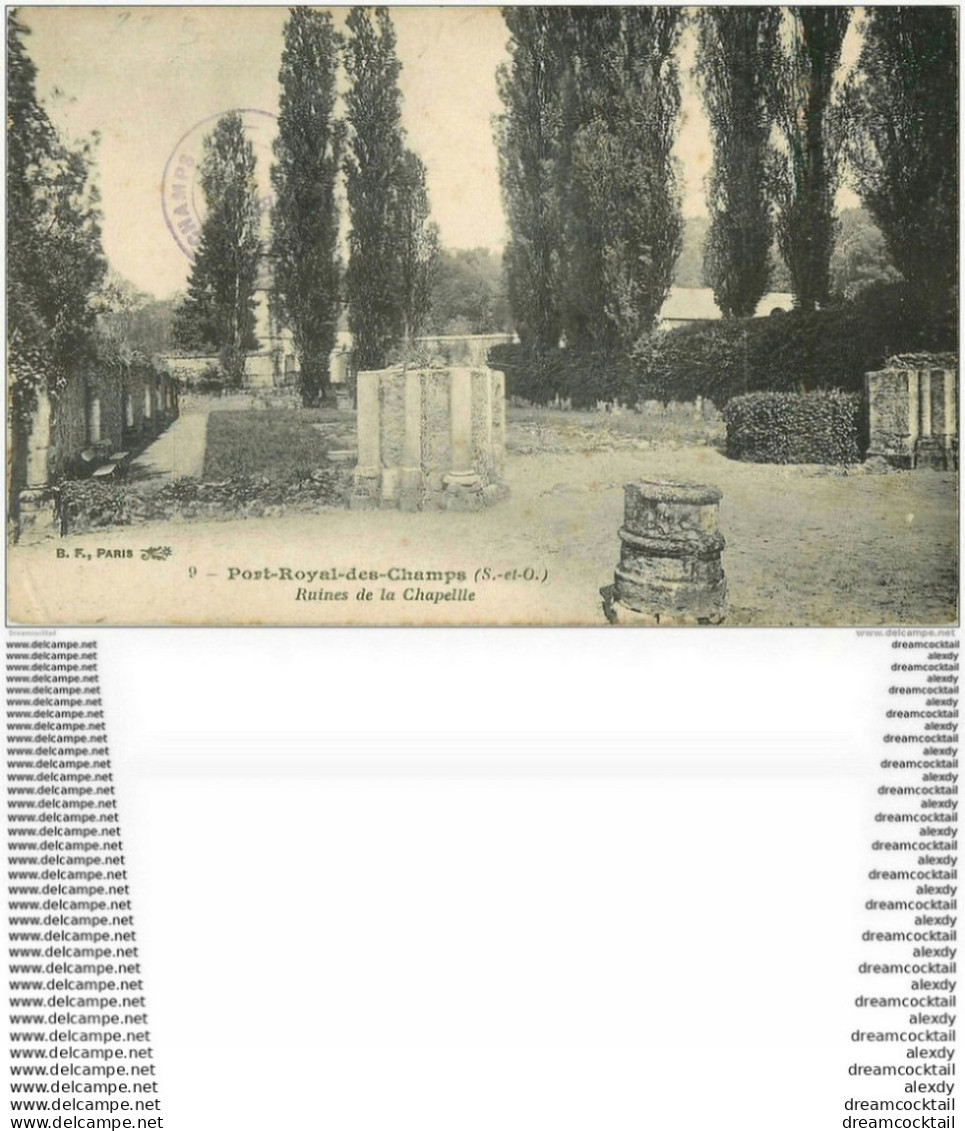 78 PORT-ROYAL DES CHAMPS.  Ruines Chapelle - Magny-les-Hameaux