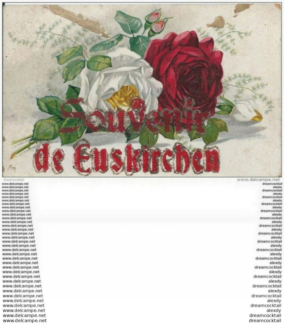 EUSKIRCHEN. Fleurs Roses Et Souvenir En Paillettes Rouges Et Argents - Euskirchen