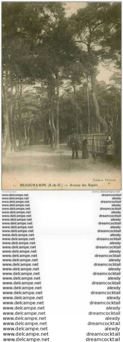 95 BEAUCHAMPS. Avenue Des Sapins Animée Avec Chien Vers 1910-15 - Beauchamp