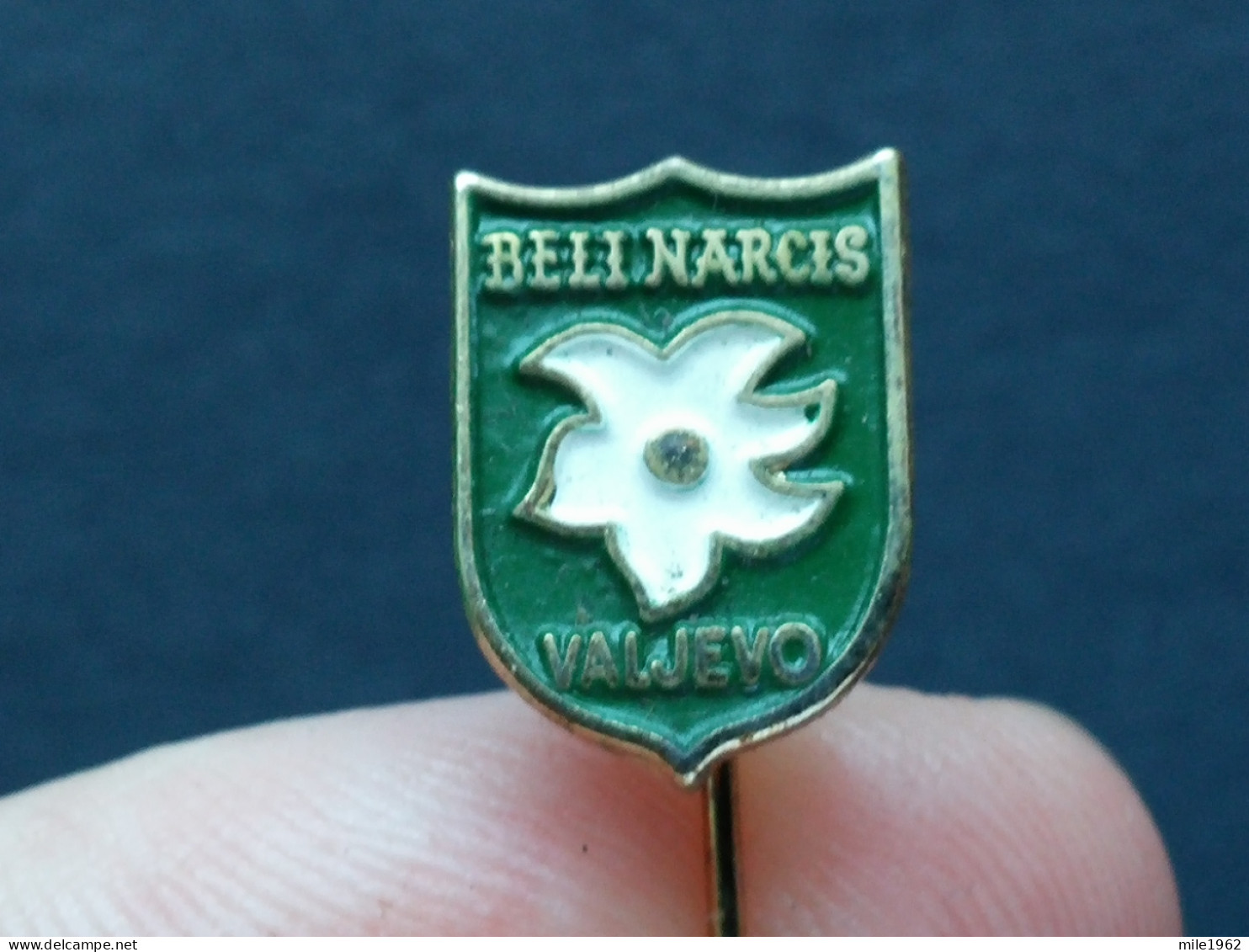 BADGE Z-74-1 - ALPINISM, Mountain, Mountaineering, BELI NARCIS, VALJEVO, SERBIA, FLOWER, FLEUR - Alpinismus, Bergsteigen