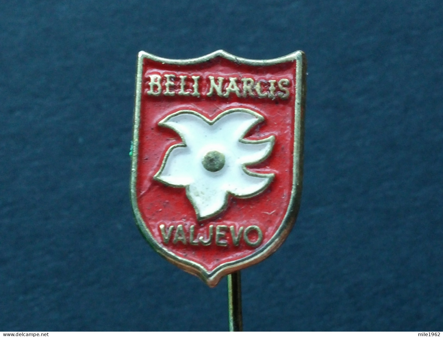 BADGE Z-74-1 - ALPINISM, Mountain, Mountaineering, BELI NARCIS, VALJEVO, SERBIA, FLOWER, FLEUR - Alpinisme