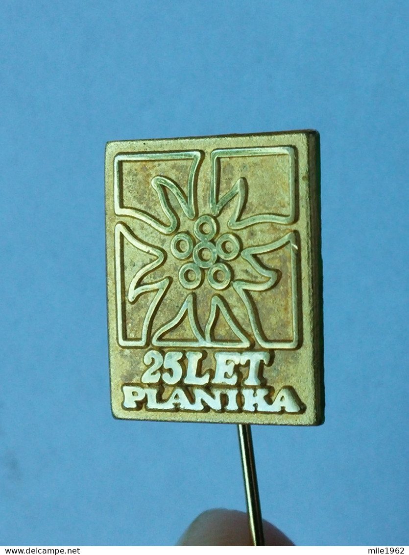 BADGE Z-74-1 - ALPINISM, Mountain, Mountaineering, PLANIKA, SLOVENIA, FLOWER, FLEUR EDELWEISS - Alpinismus, Bergsteigen