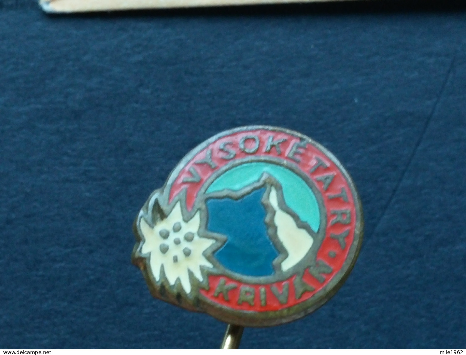 BADGE Z-74-1 - ALPINISM, Mountain, Mountaineering, VYSOKE TATRY, KRIVAN, FLOWER, FLEUR EDELWEISS - Alpinismus, Bergsteigen