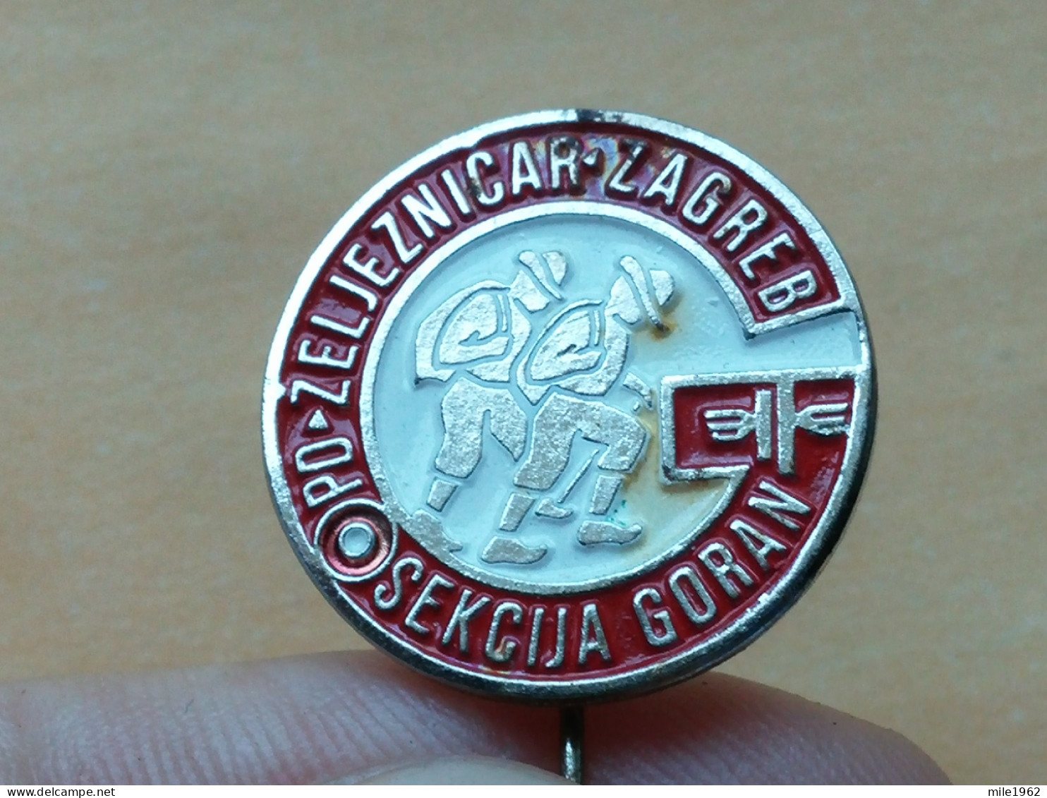 BADGE Z-74-1 - ALPINISM, Mountain, Mountaineering, ZELJEZNICAR ZAGREB, CROATIA, SEKCIJA GORAN, RAILWAY, TRAIN - Alpinism, Mountaineering