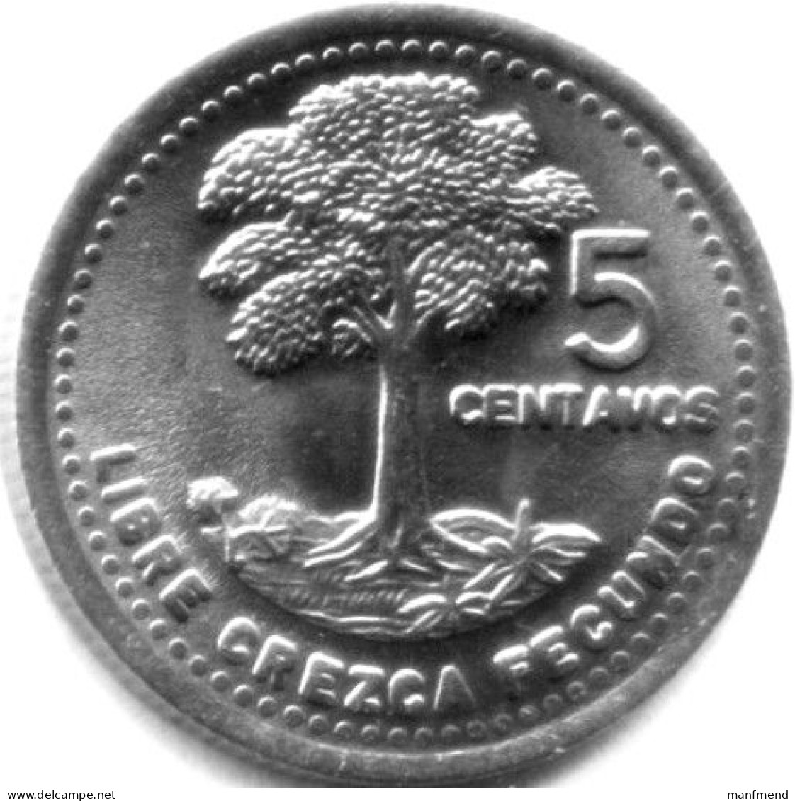 Guatemala - 1994 - KM 276.4 - 5 Centavos - XF - Guatemala