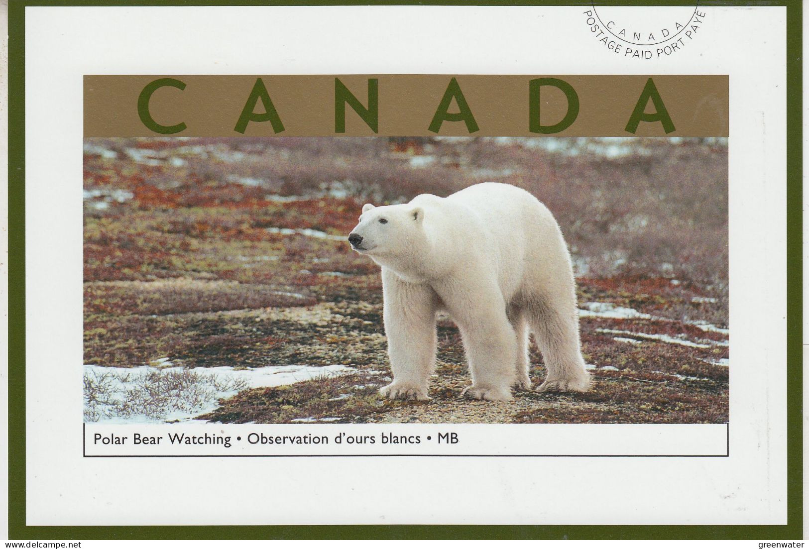 Canada 2003 Postal Stationery Postcard Polar Bear Watching Unused (CN154) - Brieven En Documenten