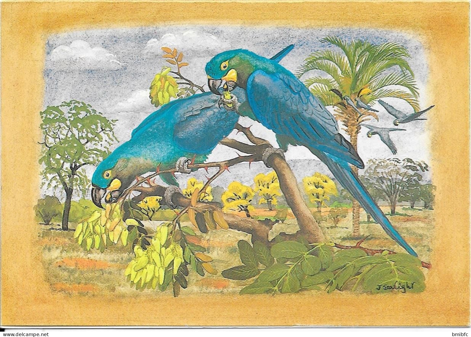 Thème Oiseau Perroquet Bleu  (Scarus Coeruleus)    1991 - ERNANI & WALTER - Rio De Janeiro