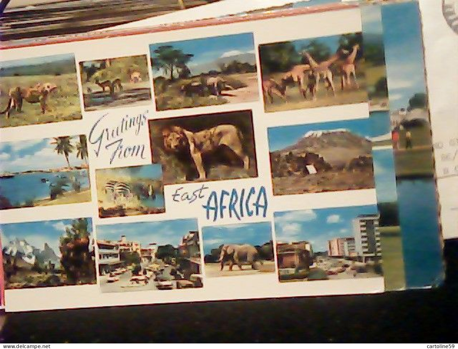 KENIA  Kenya, VUES  ANIMALI LIONS GIRAFFA RINOCERONTE  N1975   JQ4052 - Kenya