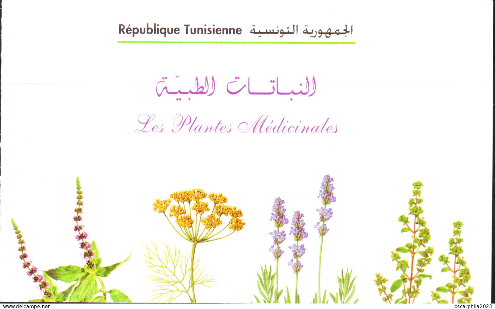 2005-Tunisie / Y&T 1554 - Flore, Plantes Médicinales - Carnet De 8 V --  MNH*** - Geneeskrachtige Planten