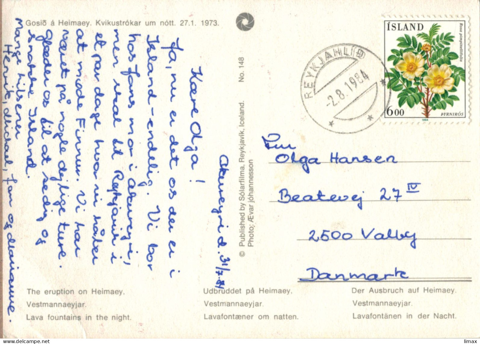 Reykjahlid 1984 - Rosa Pimpinellifolia Pyrniros Wildrose - Briefe U. Dokumente