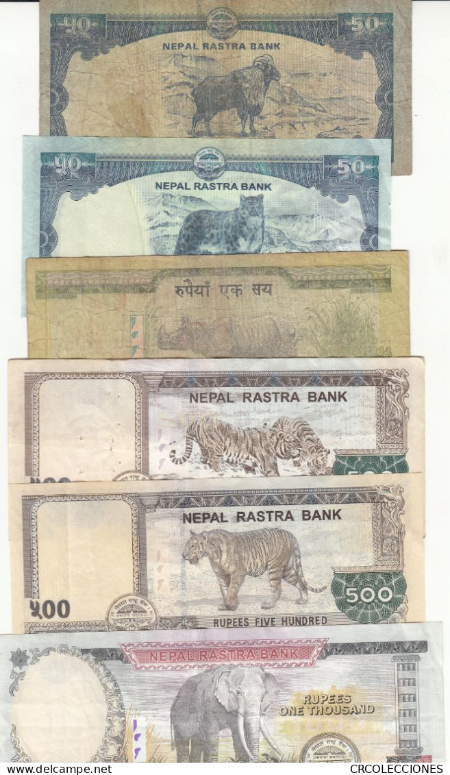 CRBX302 LOTE DE 12 BILLETES NEPAL DIFERENTES CIRCULADOS - Nepal