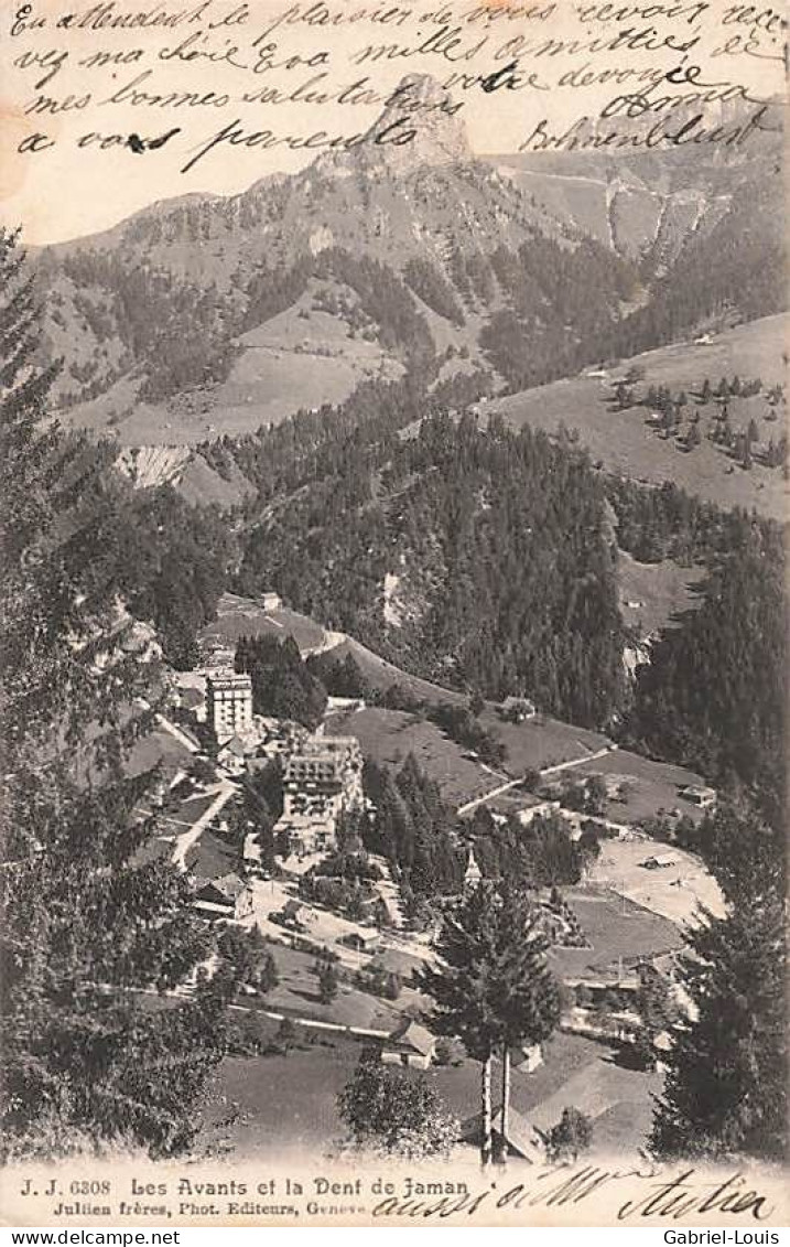 Les Avants Et La Dent De Jaman - Linéaire LES AVANTS Sur Montreux - Montreux