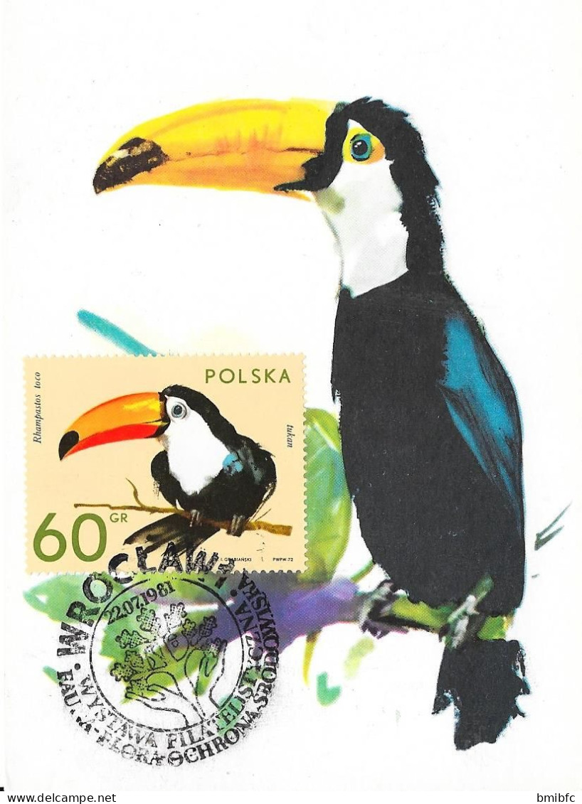 POLSKA - Tukan - 22-07-81 - Picchio & Uccelli Scalatori