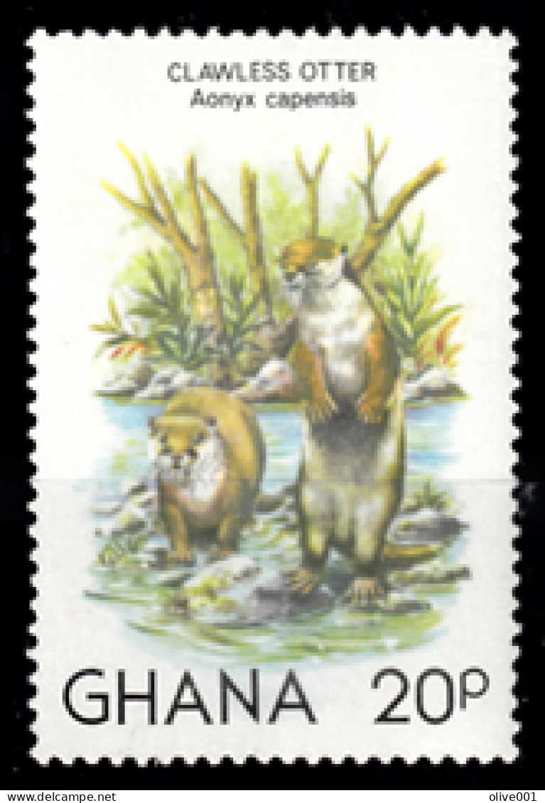 Ghana - 1982 - Animaux - Loutre Sans Griffes (Aonyx Capensis) - 1 Tp Y&T N° 734 MNH ** - Neufs - New - Nuovo - Ghana (1957-...)