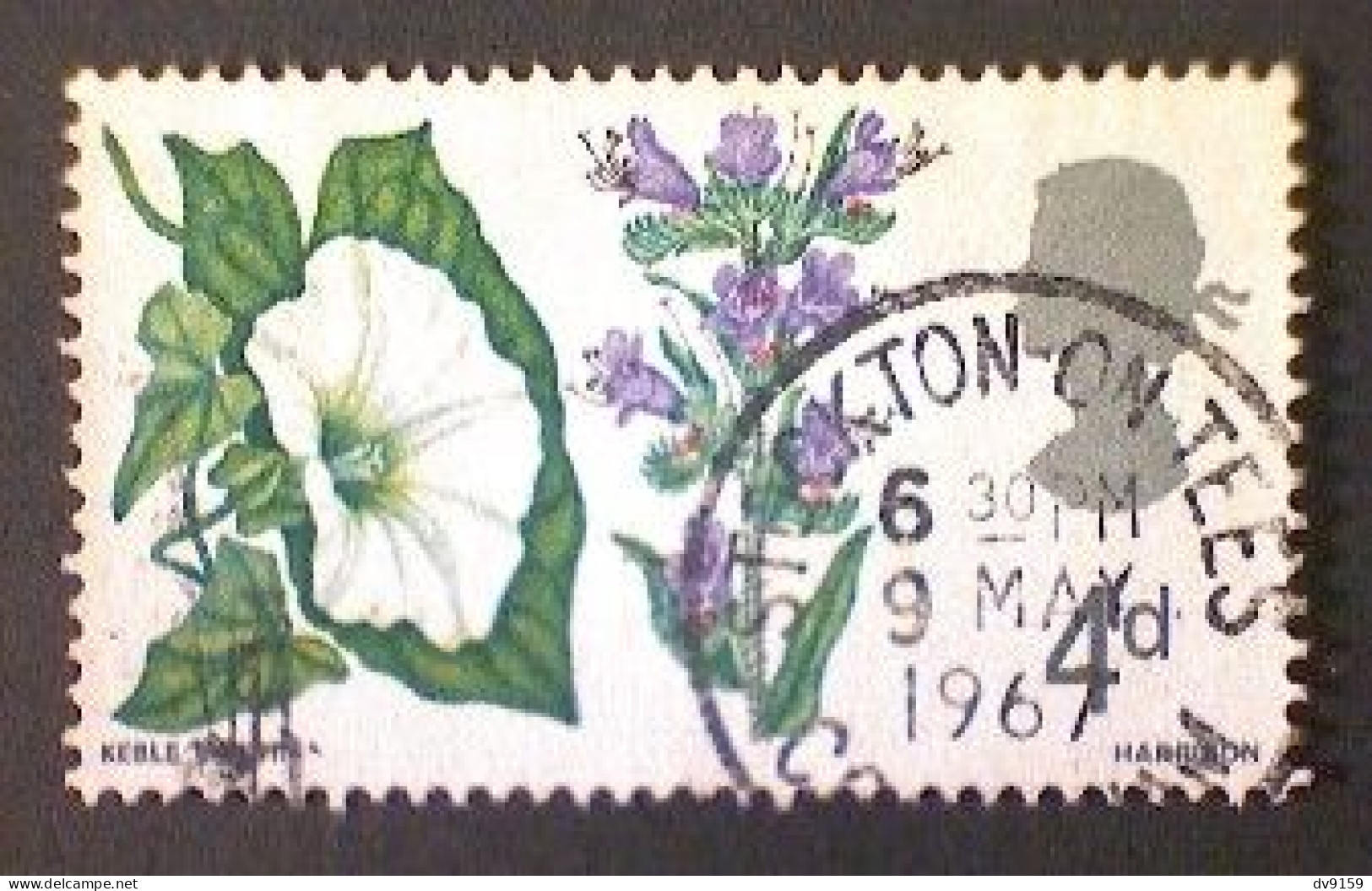 Great Britain, Scott #489, Used(o), 1967, British Wildflowers: Morning Glory, 4d, Multicolored - Usati