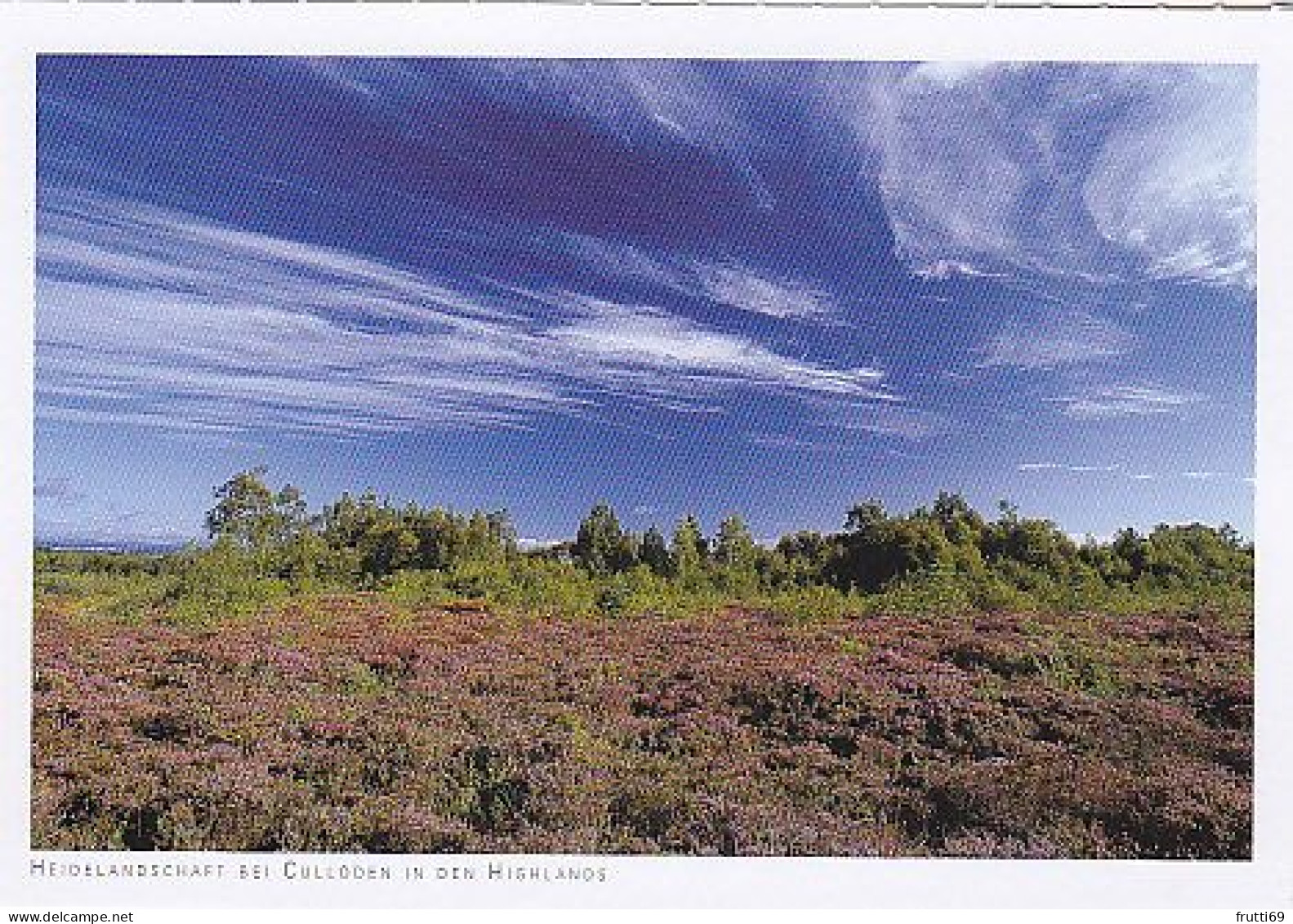 AK 182676 SCOTLAND - Heidelandschaft Bei Culloden In Den Highlands - Inverness-shire