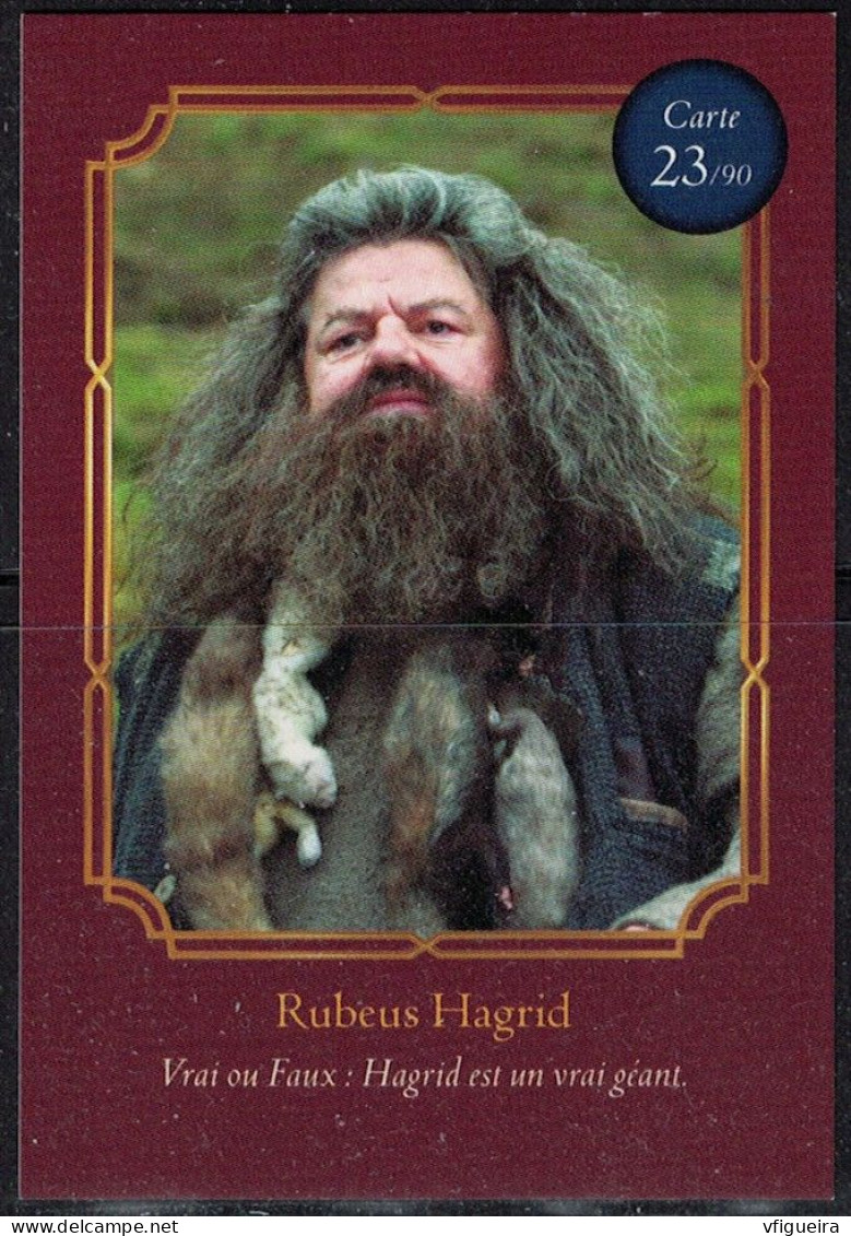 Carte Harry Potter Auchan Wizarding World Rubeus Hagrid N° 23 - Harry Potter