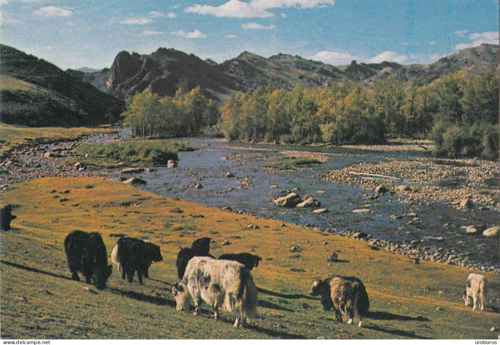 MONGOLIA - Bogdyn Gol River - Zabhan Aimak 1977 - Circulated - Mongolie