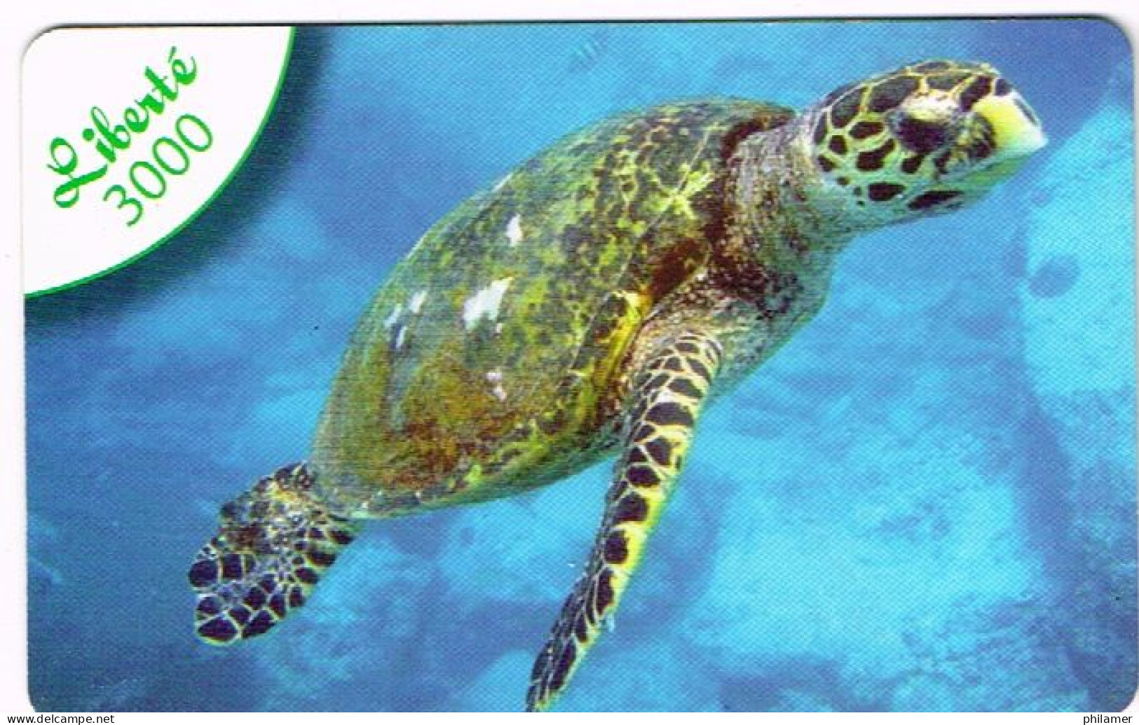 Nouvelle Caledonie Caledonia TELECARTE PHONECARD PREPAYEE LIBERTE 3000 F UT. Turtle Tortue Peti Chiffre EXP 12/09 - Nueva Caledonia